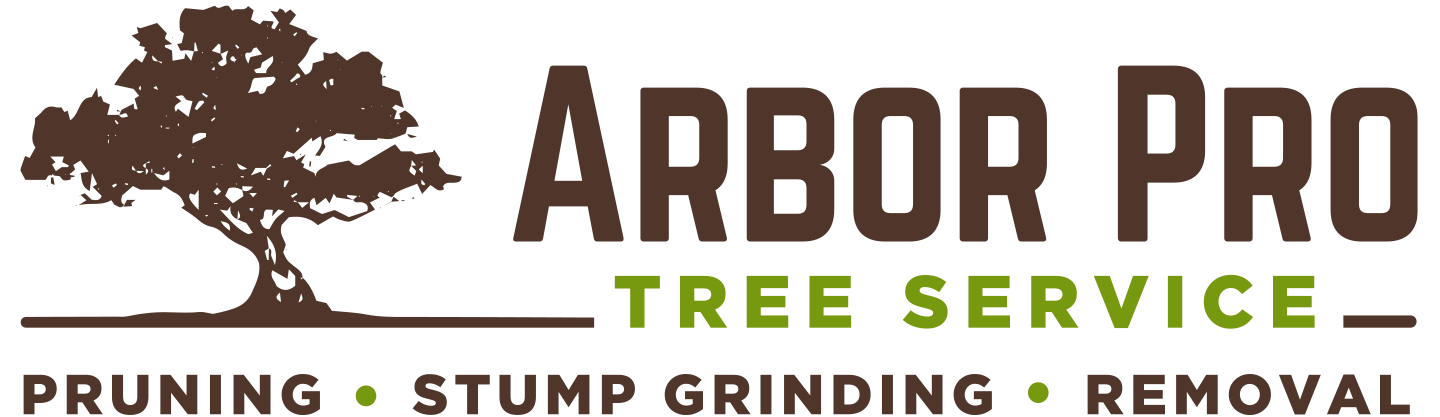 Professional Tree Service | Arbor Pro